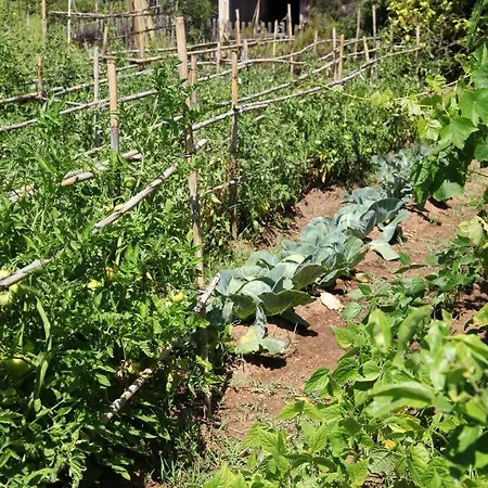 Les Residences De Scaglione *