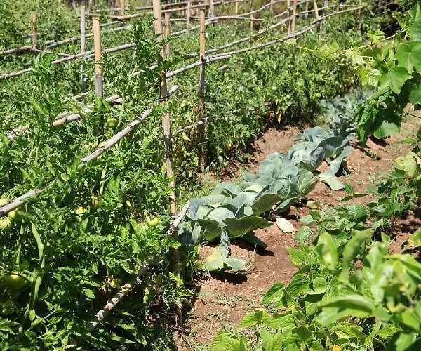 Les Residences De Scaglione *